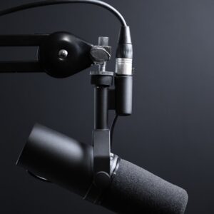 UltraMax Microphone - Portable - Gray