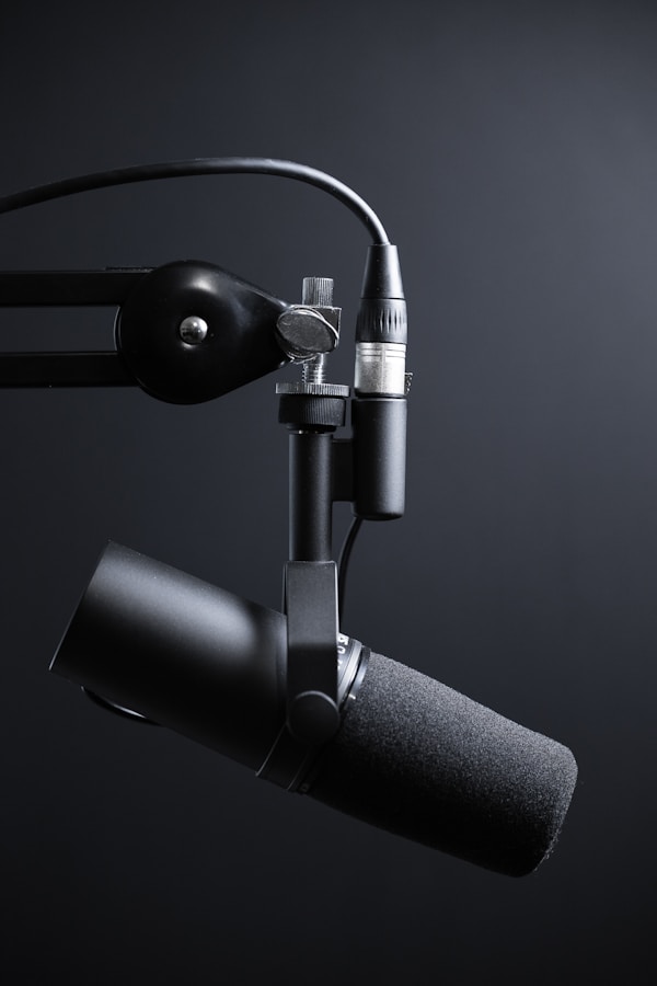 UltraMax Microphone - Portable - Gray