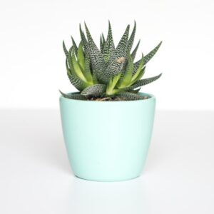 GlowUp Plant Pots Set - Portable - Gray