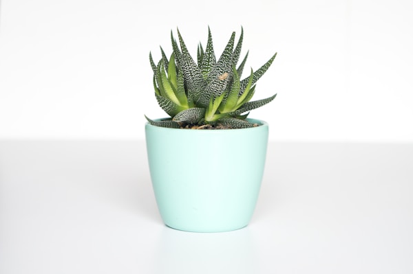 GlowUp Plant Pots Set - Portable - Gray
